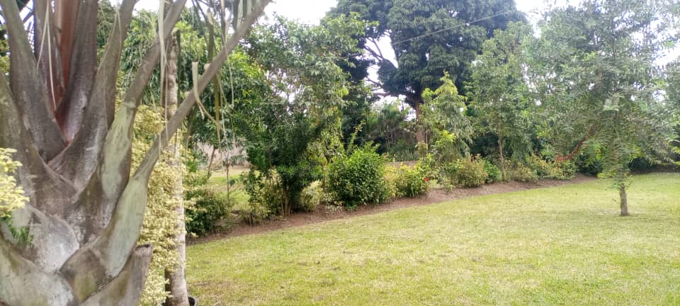 WhatsApp Image 2021-08-15 at 5.30.25 PM.jpeg